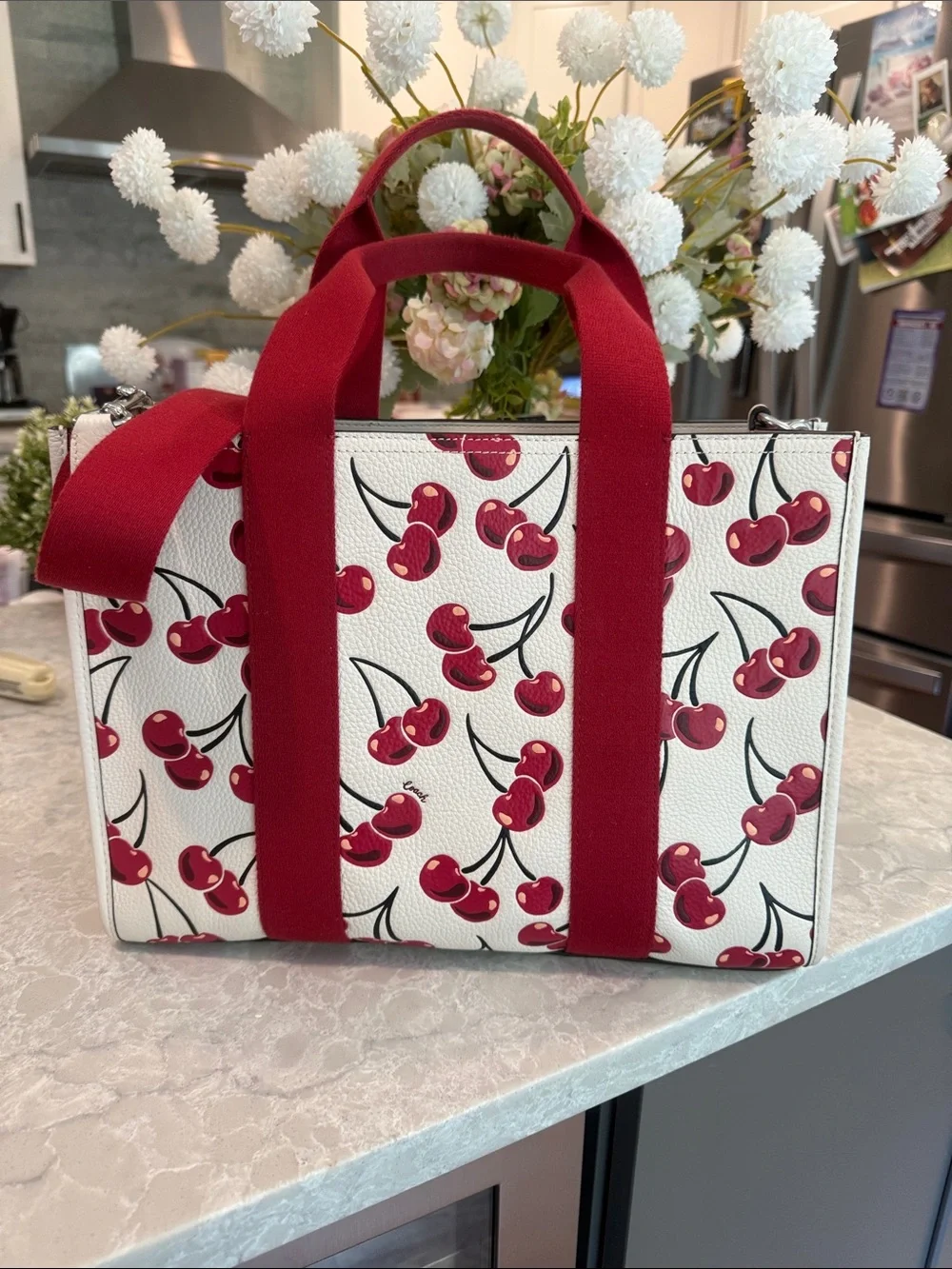 Coach excellent cherry